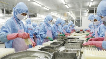 Ngành hàng nào được hưởng lợi nhiều nhất khi Hiệp định VIFTA được thực thi?