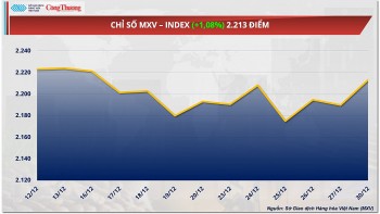 Thị trường hàng hóa hôm nay 31/12: Giá ca cao bật tăng