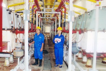 Cục Hóa chất: Góp phần phát triển ngành công nghiệp hóa chất