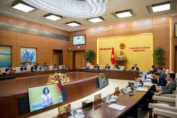 Đảm bảo bao quát đối tượng hoạt động quảng cáo trên mạng