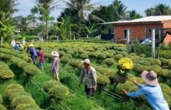 Bến Tre: Huyện Chợ Lách tổ chức chuỗi sự kiện văn hóa, du lịch