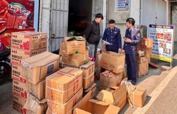 Ninh Bình: Xử lý 311 vụ vi phạm, thu ngân sách gần 4 tỷ đồng