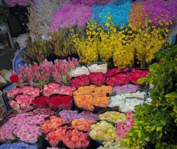 Thị trường hoa tươi 'tăng nhiệt' dịp cận Tết Nguyên đán