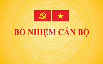 Thủ tướng bổ nhiệm Phó Chủ nhiệm Văn phòng Chính phủ