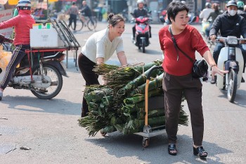 Chợ lá dong lâu đời nhất Hà Nội nhộn nhịp ngày giáp Tết
