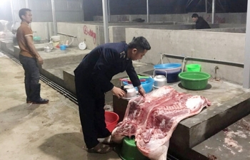 Lào Cai: Kiểm soát giết mổ động vật, an toàn thực phẩm