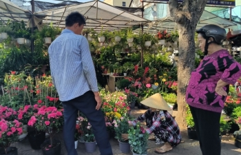 Bà Rịa-Vũng Tàu: Rộn ràng từ làng hoa đến chợ hoa Tết
