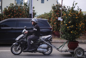 Đà Nẵng: Kiếm tiền triệu nhờ dịch vụ 'chở Tết về nhà'