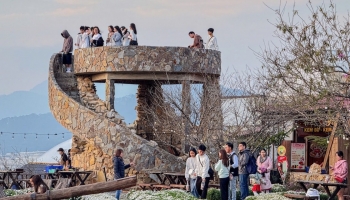 Du lịch Lâm Đồng tăng trưởng vượt bậc dịp Tết 2025