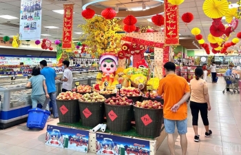 Bà Rịa - Vũng Tàu: Tháng 1, thương mại - dịch vụ tăng mạnh