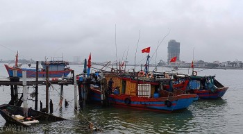 Quảng Bình: Ngư dân hứng khởi vươn khơi thu 'lộc biển'