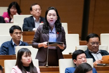 Cần có giải pháp hiệu quả hỗ trợ doanh nghiệp trong nước