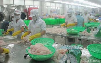 Tiền Giang tăng cường xúc tiến, đa dạng thị trường xuất khẩu