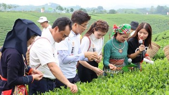 Thái Nguyên xây dựng thương hiệu trà gắn với câu chuyện văn hoá