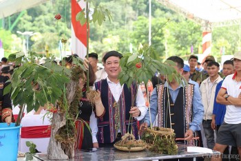 Quảng Nam là trung tâm công nghiệp dược liệu trọng điểm