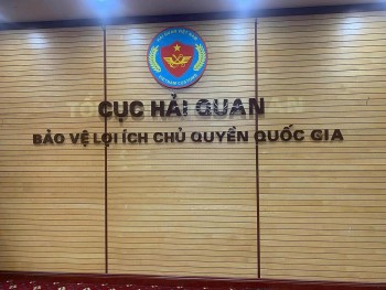 Chi tiết cơ cấu tổ chức Cục Hải quan và các chi cục