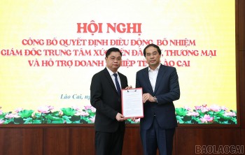 Tin nhân sự 3/3: Công tác cán bộ tại ba tỉnh Lào Cai, Lạng Sơn, Hà Nam