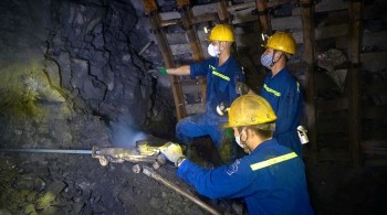 TKV đạt doanh thu trên 13 nghìn tỷ đồng trong tháng 2