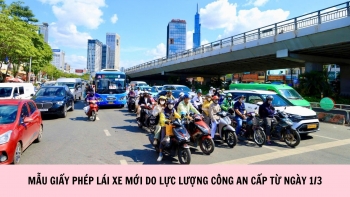 Infographic | Mẫu giấy phép lái xe mới do lực lượng công an cấp