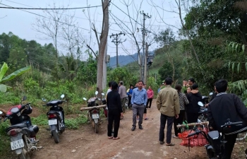 Lào Cai: Trâu chết do đến gần dây điện bị hở