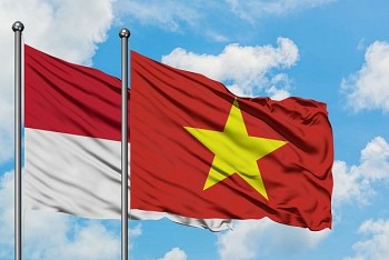 Dấu mốc hợp tác mới thương mại, công nghiệp Việt Nam - Indonesia