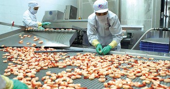 Sửa Nghị định 15/2018/NĐ-CP: Doanh nghiệp lo tăng gánh nặng hành chính