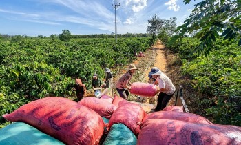 Điểm tên ngành hàng xuất khẩu tiềm năng sang Hungary?