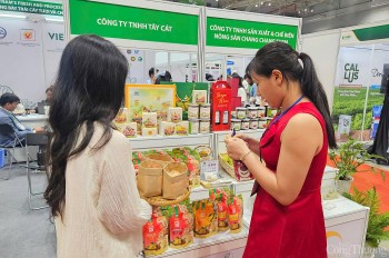 Kênh bán lẻ hiện đại: Đầu ra bền vững cho rau quả