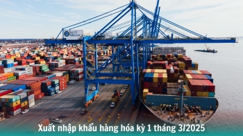 Infographic | Xuất nhập khẩu hàng hóa kỳ 1 tháng 3/2025