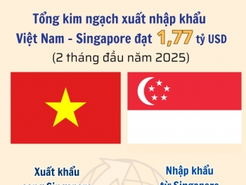 Infographic | Xuất nhập khẩu Việt Nam - Singapore đạt 1,77 tỷ USD