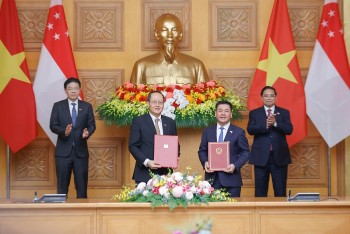 Việt Nam - Singapore hợp tác thương mại điện xuyên biên giới