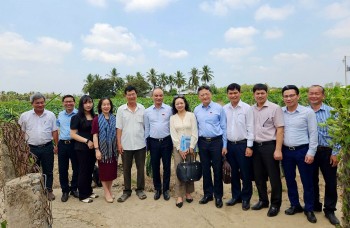 Quốc hội “bắt mạch” hiệu quả năng lượng ở miền Nam