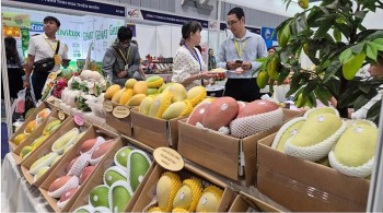 Tin Công Thương 1/4: Tính đường dài cho xuất khẩu rau, quả