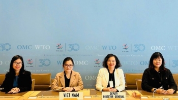 Việt Nam cập nhật về quy tắc xuất xứ tại WTO