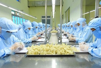 Cần xây dựng thương hiệu ngành yến sào theo chuẩn quốc tế