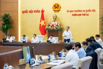 Xử lý dứt điểm, thỏa đáng những vấn đề cử tri quan tâm