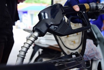 Thu hồi giấy phép phân phối xăng dầu của Công ty CP Dầu khí Nam Long