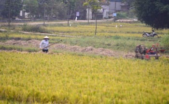 Giảm nghèo bằng chính sách, vươn tới phát triển bền vững