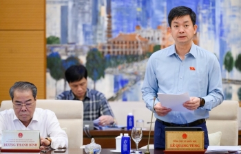 Bổ sung quy định việc quyết định cơ cấu Chính phủ trong trường hợp cần thiết