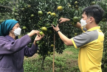 Sản phẩm Lào Cai vươn xa nhờ kết nối giao thương