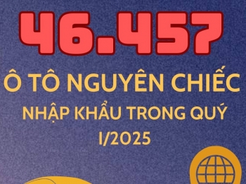 46.457 ô tô nguyên chiếc các loại được nhập khẩu trong quý I