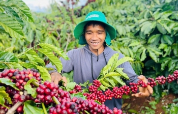 Ứng dụng AI và cảm biến trong nông nghiệp nông thôn