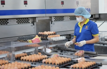 Thâm nhập thành công thị trường Canada: Bí quyết từ doanh nghiệp