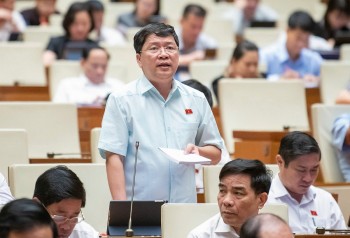 Đại biểu Tạ Văn Hạ: Cần phát triển sản phẩm hóa chất Việt Nam có lợi thế