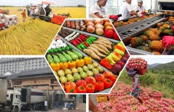 Thủ tướng chỉ đạo xử lý nghiêm gian lận xuất xứ, ép giá nông sản