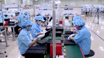 Ninh Bình: Từ nông thôn mới đến trung tâm công nghiệp hỗ trợ -Bước chuyển mình chiến lược của một vùng đất di sản