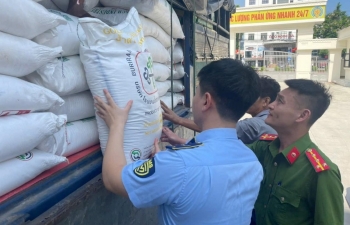 Nghệ An: Tạm giữ 3 tấn đường cát nhập lậu