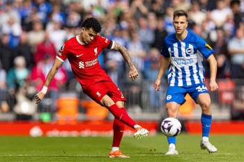 Lịch thi đấu bóng đá ngày 19/5: Brighton đấu với Liverpool