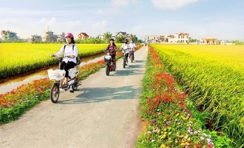 ‘Quả ngọt’ từ chương trình nông thôn mới