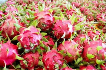 3 loại trái cây Việt lọt Top 10 ngon nhất Đông Nam Á